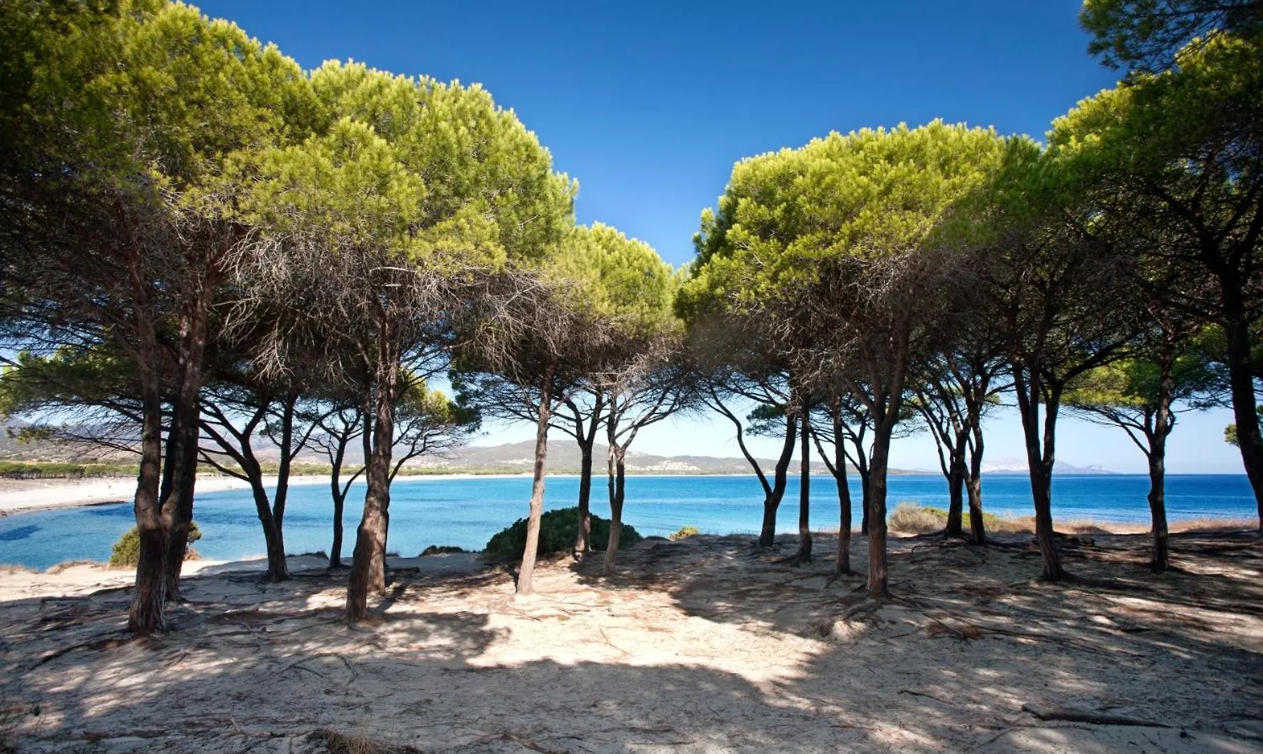 Trilocale 40 Mt Dalla Spiaggia By Budoniaffitti
